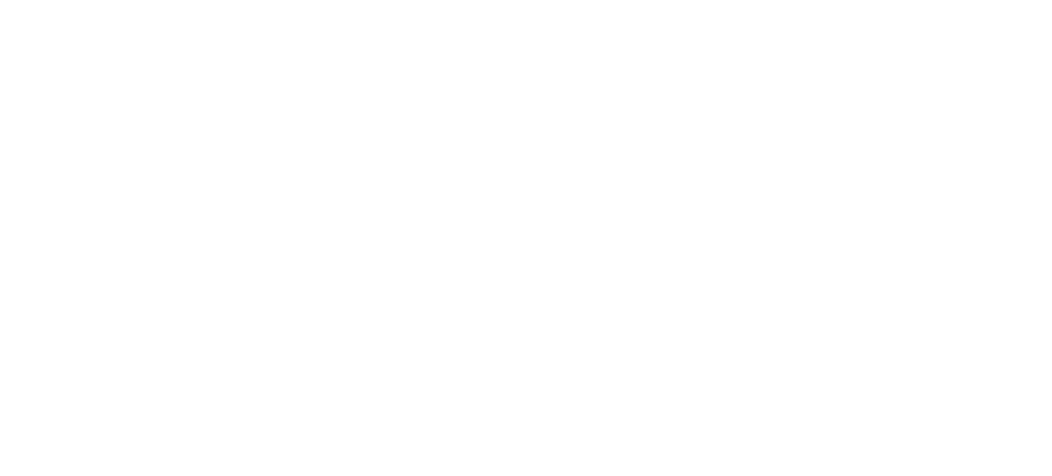 Fusion