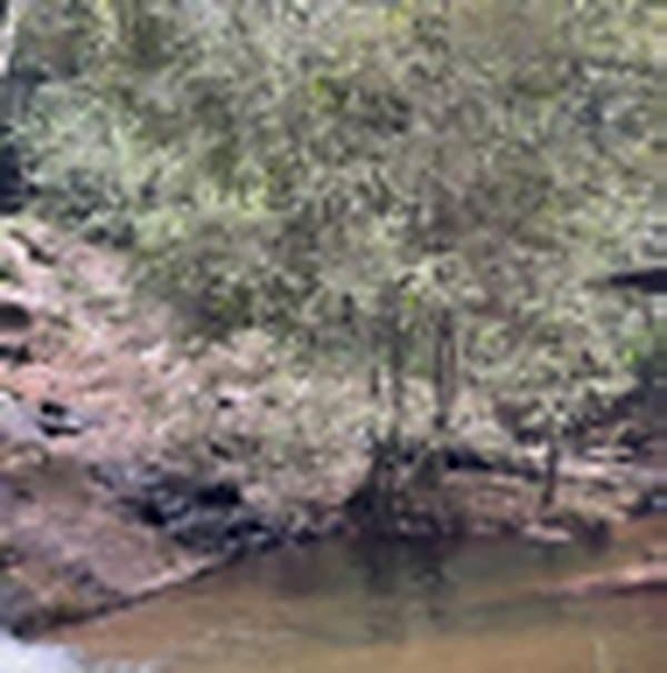 Kimbakala Trip — excursion au départ de Pointe-Noire